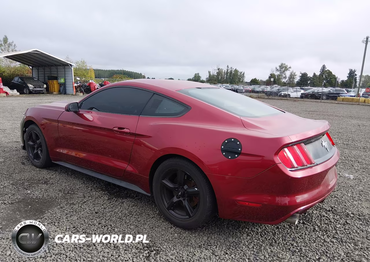 2017 Ford Mustang V6 VIN:1FA6P8AM6H5310101 - 3
