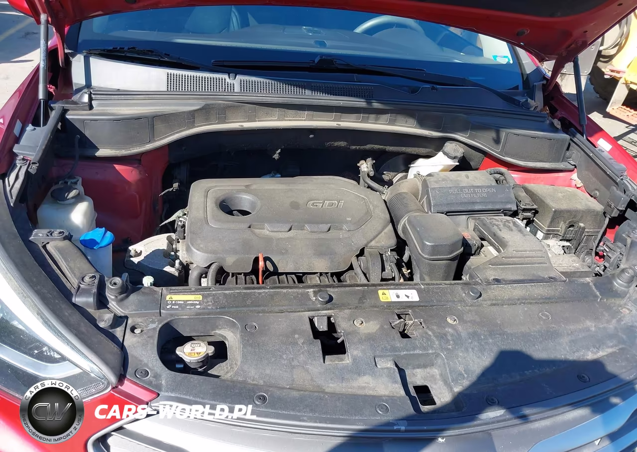 2017 Hyundai Santa Fe Sport 2.4L VIN:5XYZUDLB3HG423385 - 10