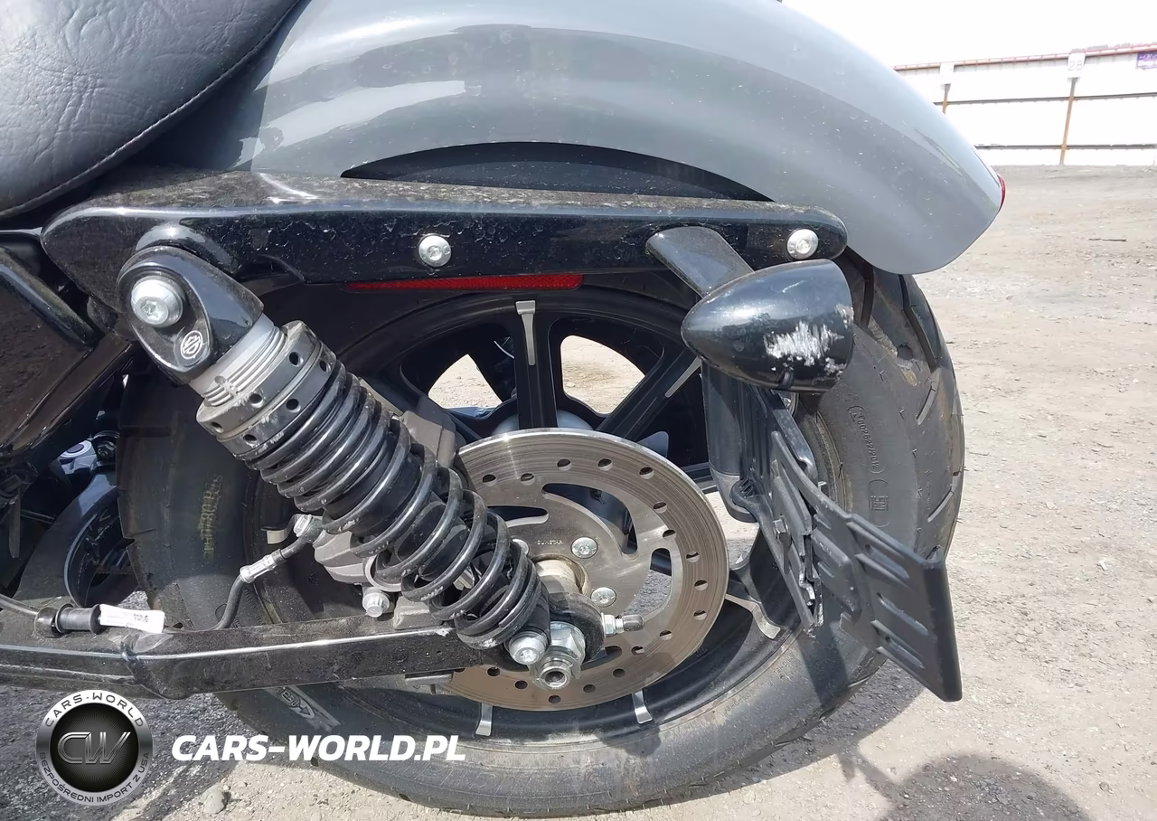 2022 Harley-Davidson Xl883 N VIN:1HD4LE216NB411716 - 16