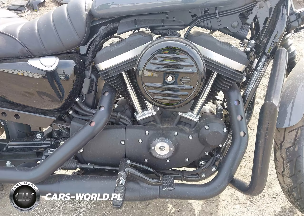 2022 Harley-Davidson Xl883 N VIN:1HD4LE216NB411716 - 8