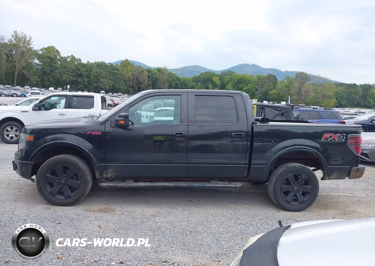 2013 Ford F-150 Fx4 VIN:1FTFW1ET7DFC68239 - 15