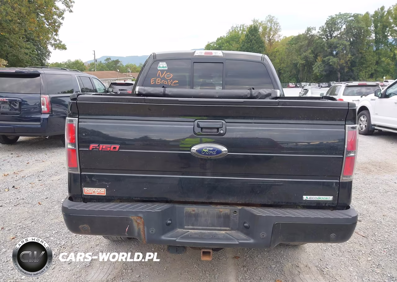2013 Ford F-150 Fx4 VIN:1FTFW1ET7DFC68239 - 17