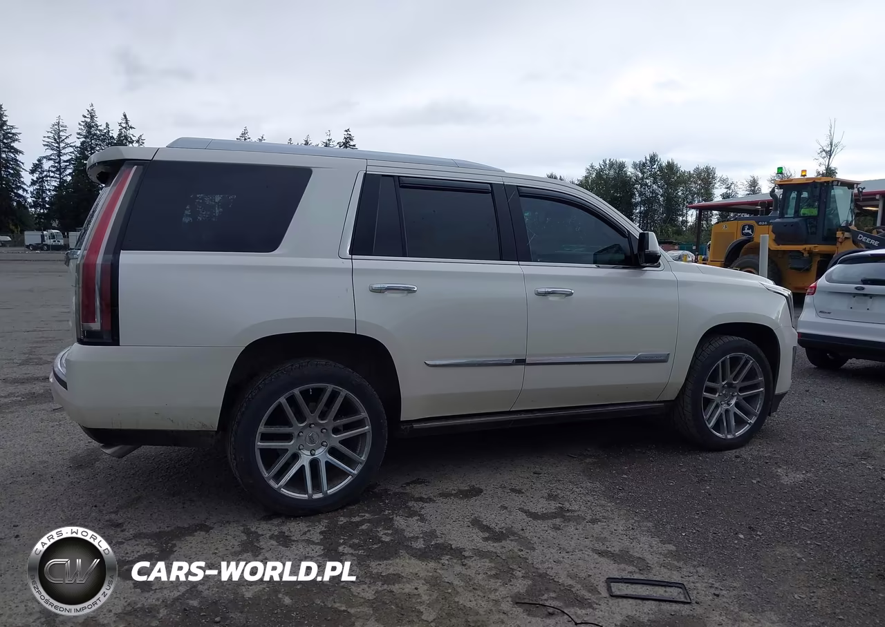 2015 Cadillac Escalade Premium VIN:1GYS4NKJ2FR729325 - 13