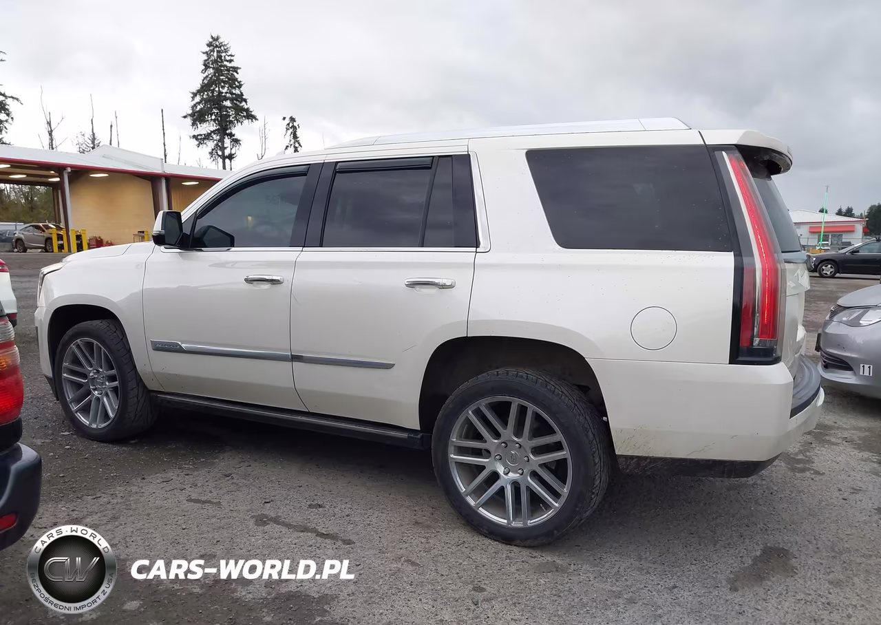 2015 Cadillac Escalade Premium VIN:1GYS4NKJ2FR729325 - 14