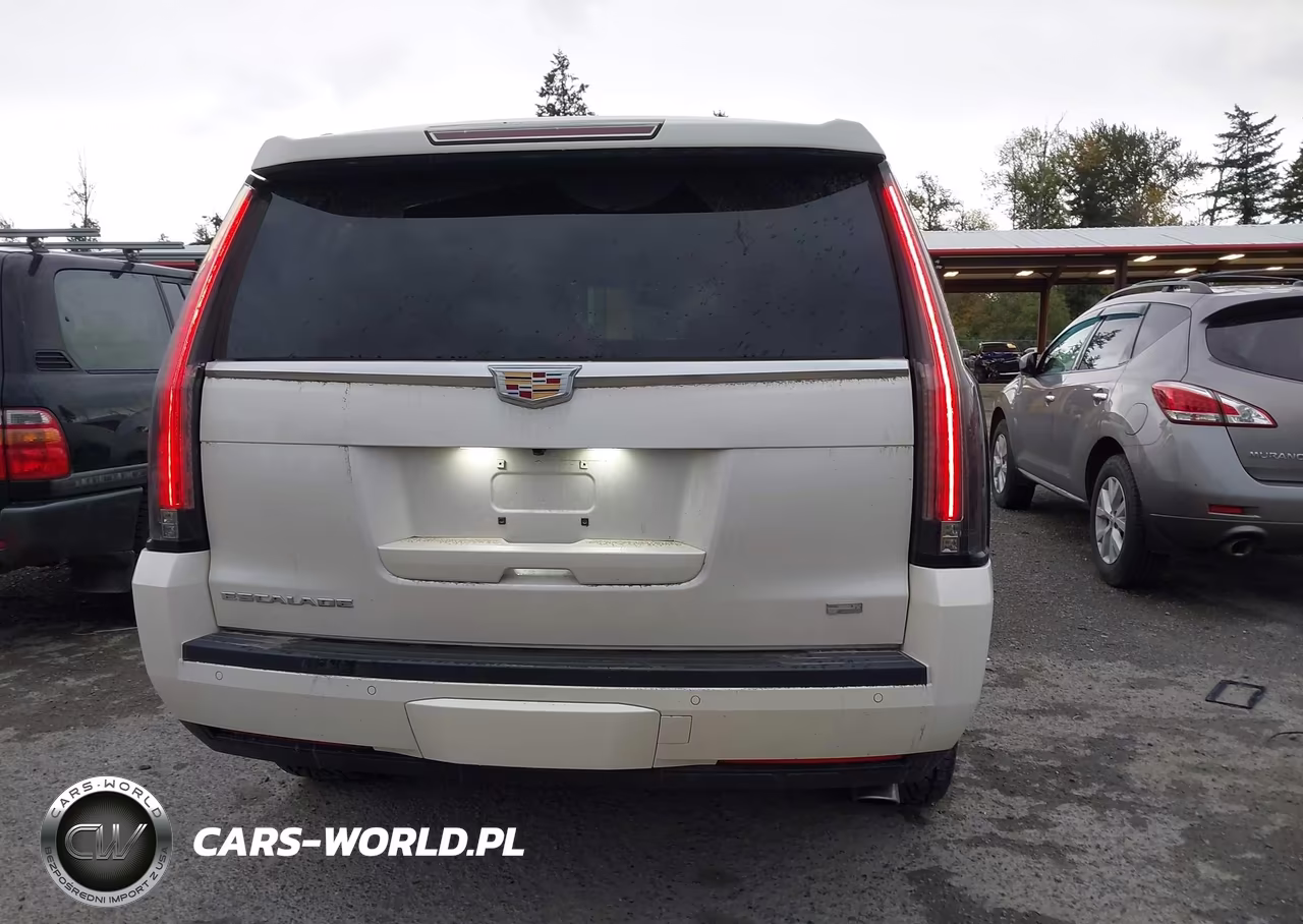 2015 Cadillac Escalade Premium VIN:1GYS4NKJ2FR729325 - 16