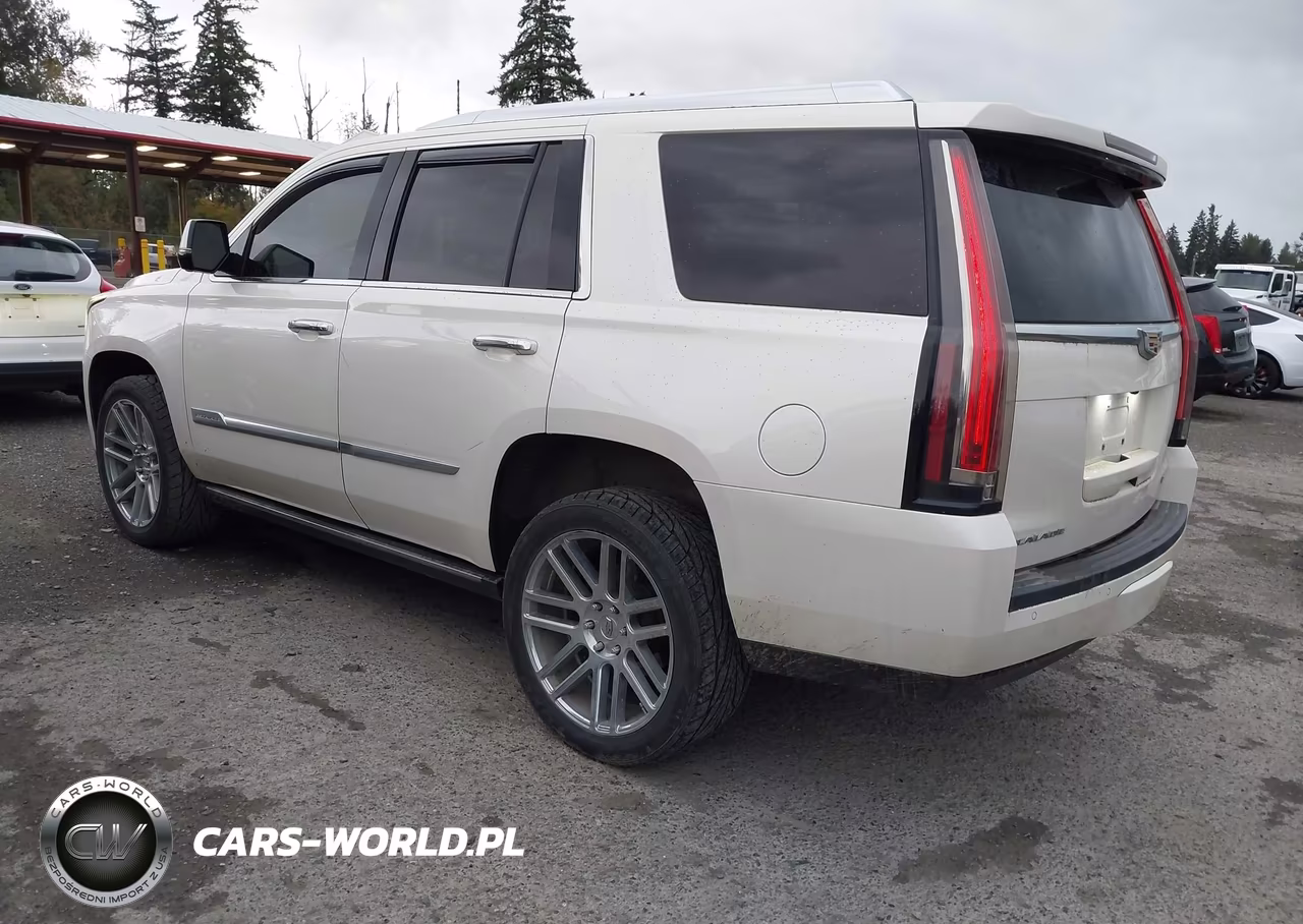 2015 Cadillac Escalade Premium VIN:1GYS4NKJ2FR729325 - 3