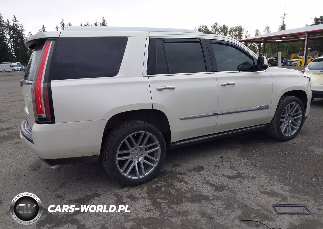 2015 Cadillac Escalade Premium VIN:1GYS4NKJ2FR729325 - 4