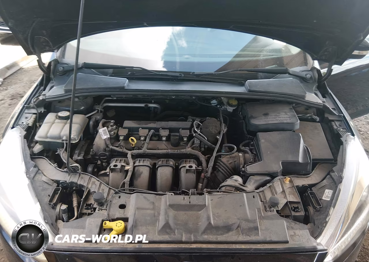 2016 Ford Focus Se VIN:1FADP3F22GL260907 - 10