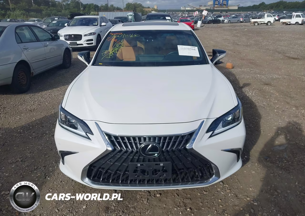 2023 Lexus Es 300H VIN:58ADA1C13PU029430 - 12