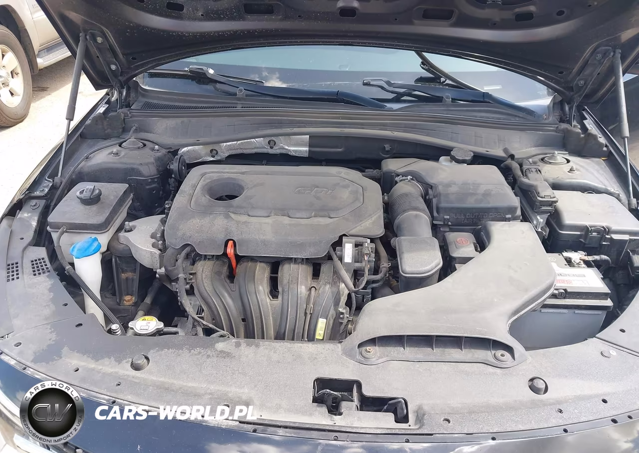 2016 Kia Optima Lx VIN:5XXGT4L34GG068720 - 10