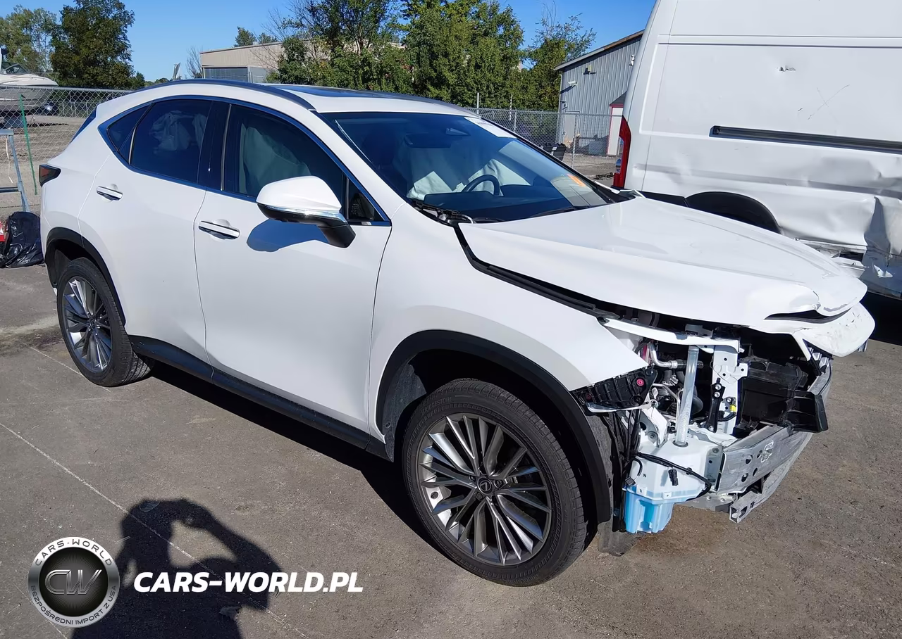 2025 Lexus Nx 350 Premium VIN:JTJGGCEZ7S5011969 - 1