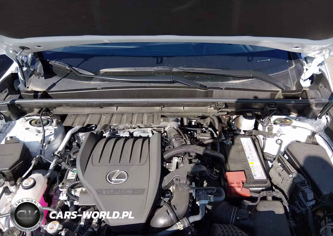 2025 Lexus Nx 350 Premium VIN:JTJGGCEZ7S5011969 - 10