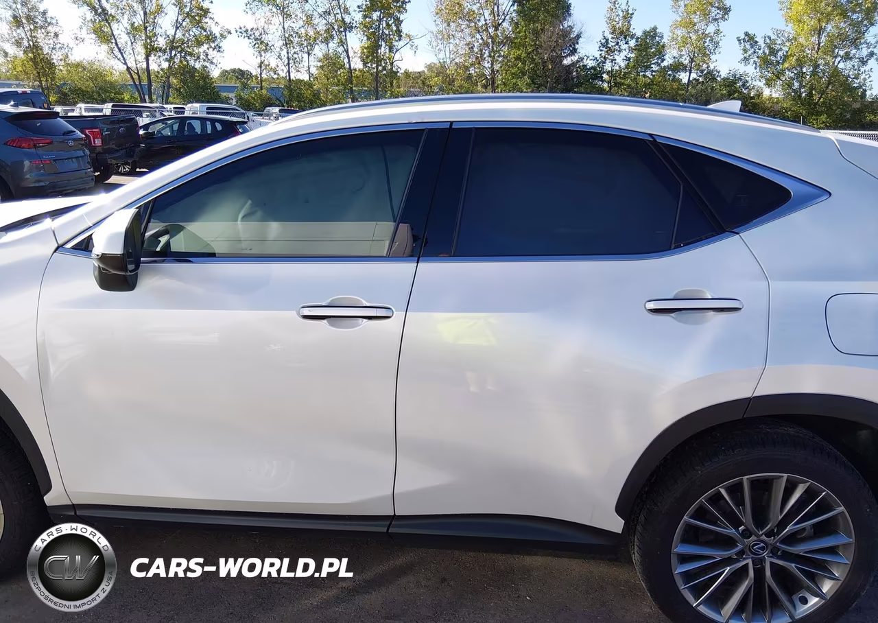 2025 Lexus Nx 350 Premium VIN:JTJGGCEZ7S5011969 - 14