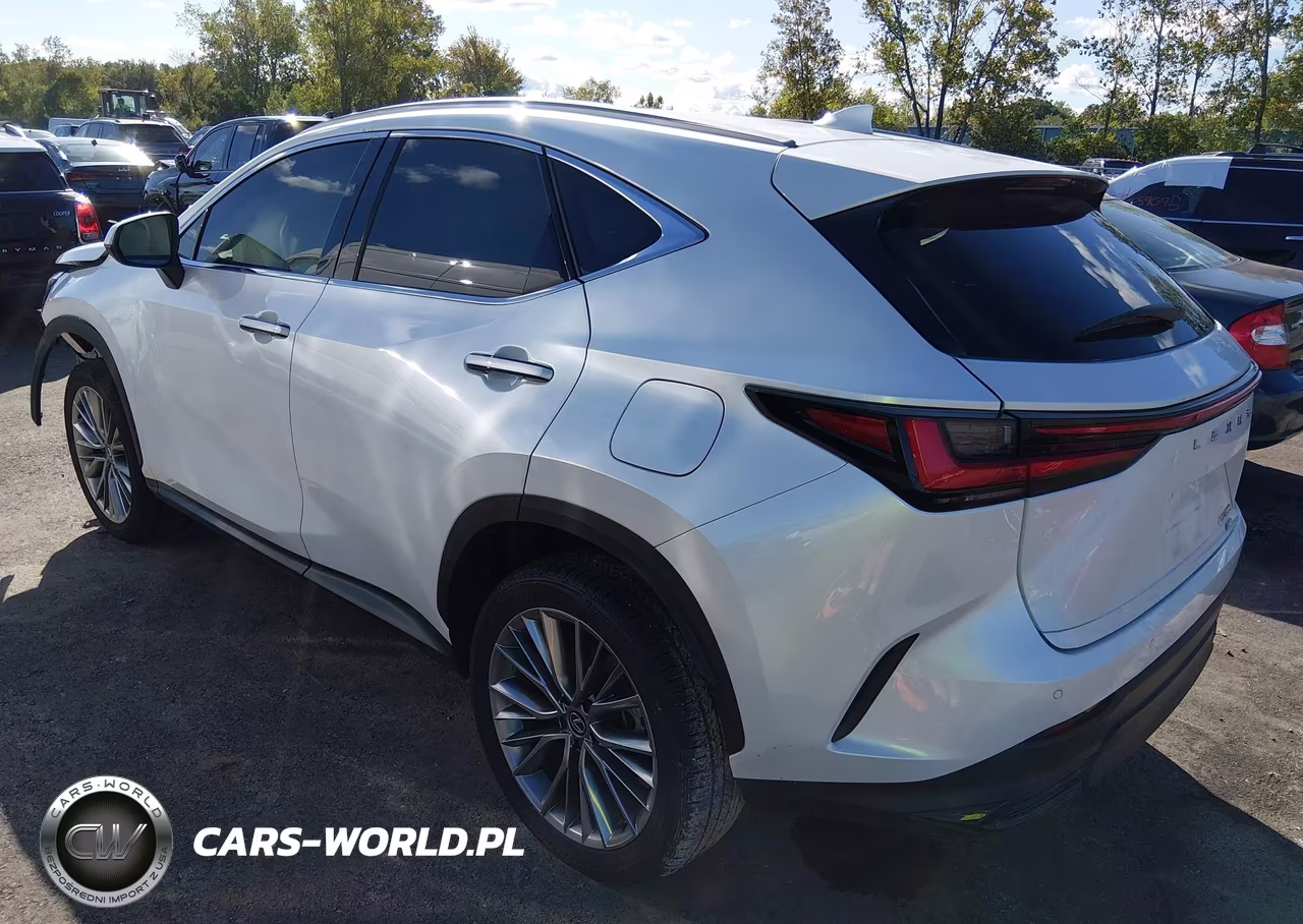 2025 Lexus Nx 350 Premium VIN:JTJGGCEZ7S5011969 - 3
