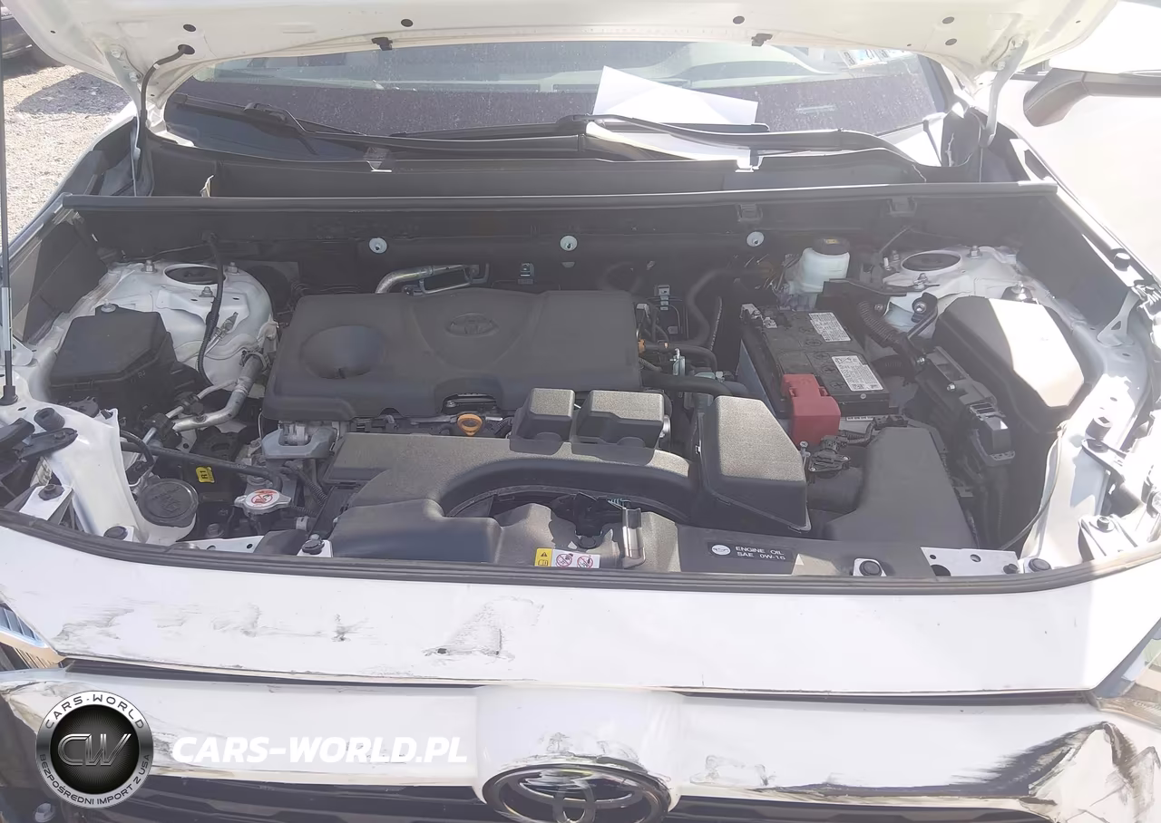 2025 Toyota Rav4 Xle VIN:2T3P1RFV5SC516552 - 10