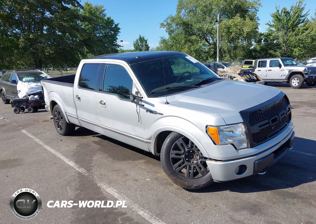 2009 Ford F-150 Fx4-King Ranch-Lariat-Platinum-Xl-Xlt