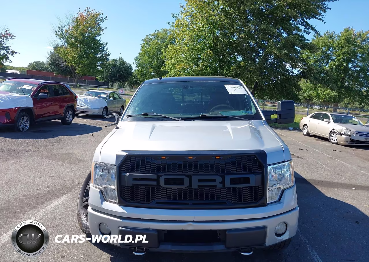 2009 Ford F-150 Fx4-King Ranch-Lariat-Platinum-Xl-Xlt VIN:1FTPW14V29FB32910 - 12