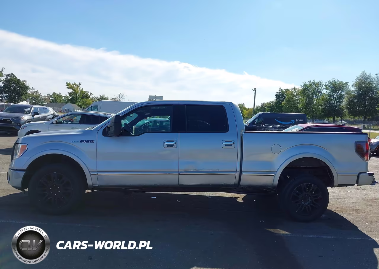 2009 Ford F-150 Fx4-King Ranch-Lariat-Platinum-Xl-Xlt VIN:1FTPW14V29FB32910 - 14