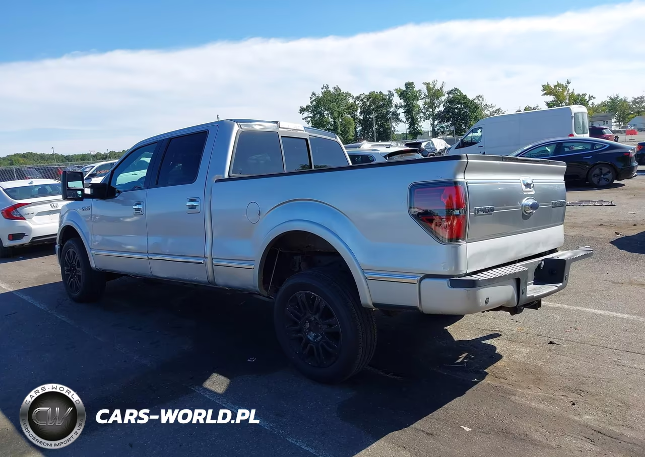 2009 Ford F-150 Fx4-King Ranch-Lariat-Platinum-Xl-Xlt VIN:1FTPW14V29FB32910 - 3