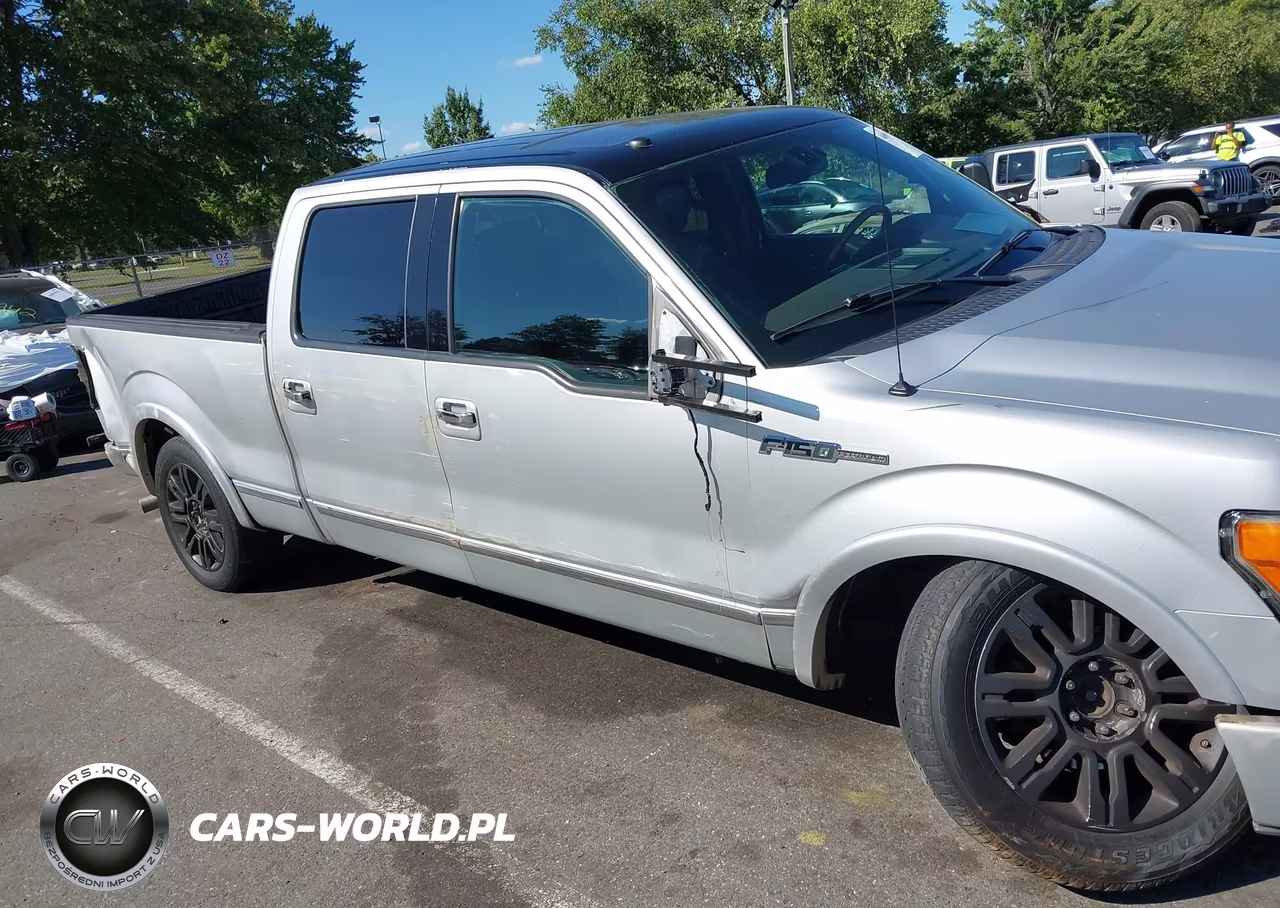 2009 Ford F-150 Fx4-King Ranch-Lariat-Platinum-Xl-Xlt VIN:1FTPW14V29FB32910 - 6