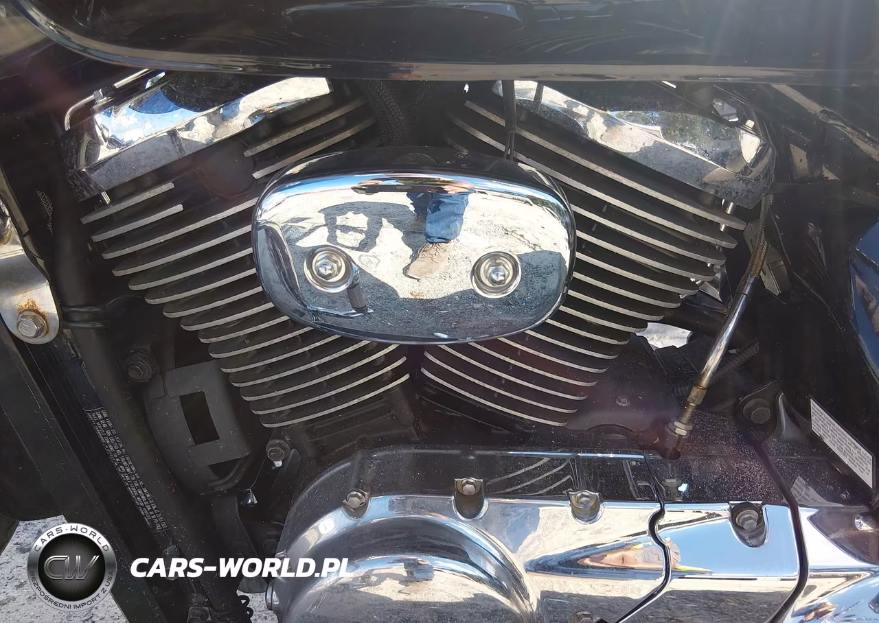 2008 Suzuki Vl800 VIN:JS1VS55AX82107212 - 9