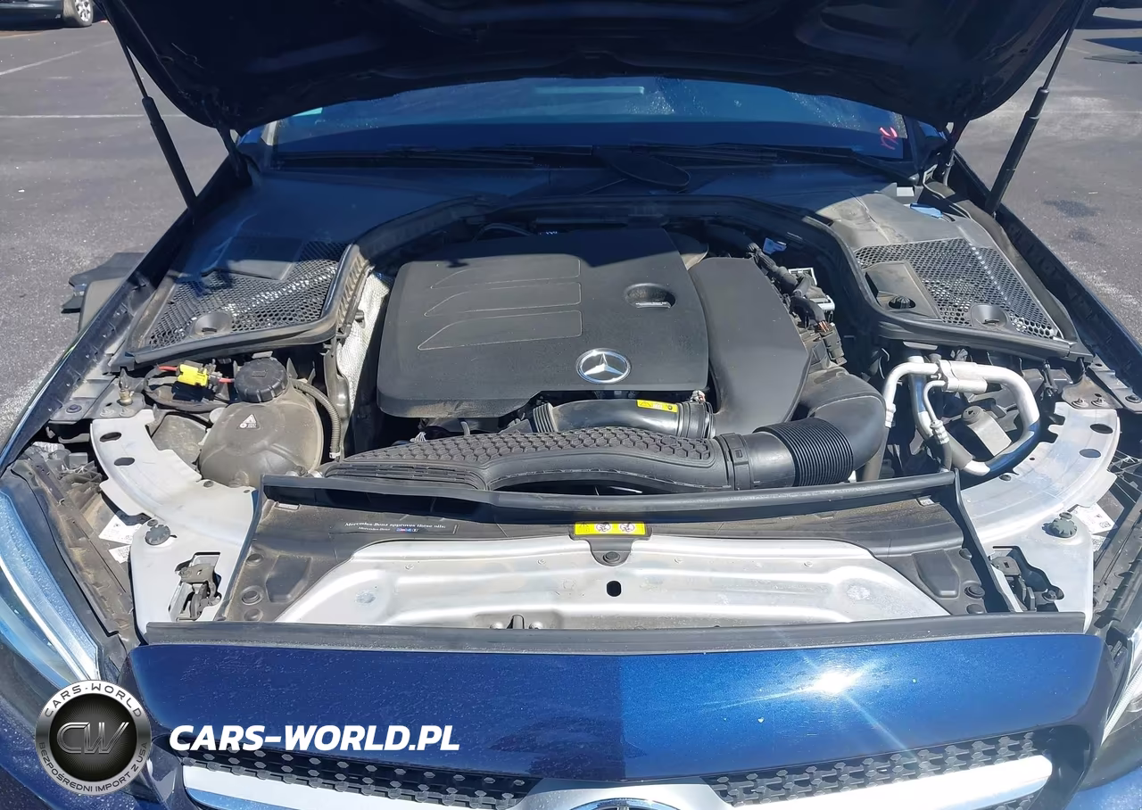 2019 Mercedes-Benz C 300 4Matic VIN:55SWF8EB4KU311533 - 10