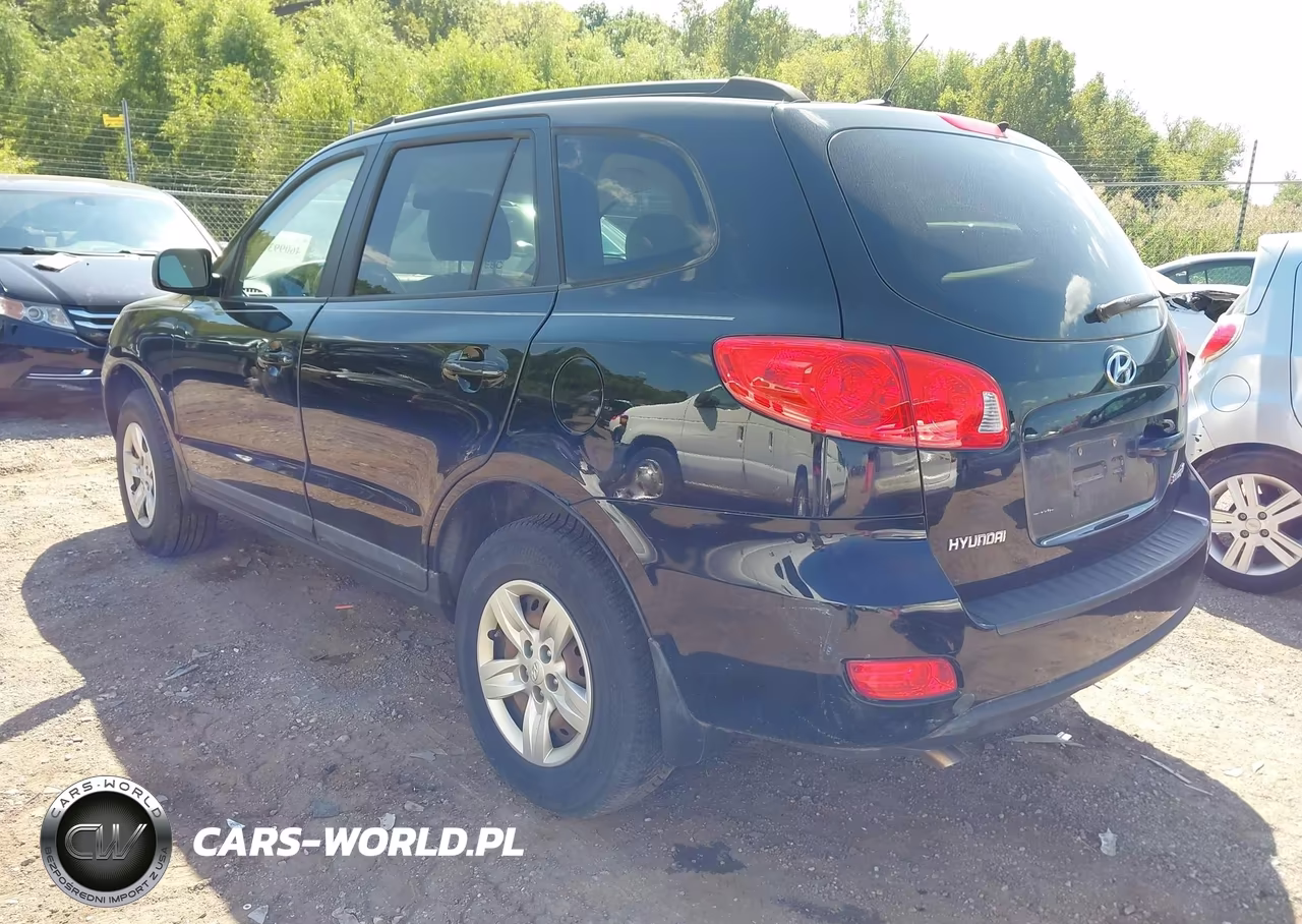 2009 Hyundai Santa Fe Gls VIN:5NMSG13D69H270047 - 3