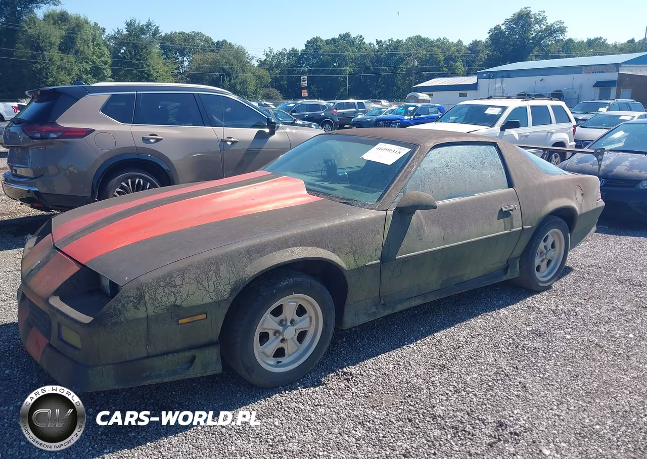 1991 Chevrolet Camaro Rs VIN:1G1FP23E7ML193219 - 2