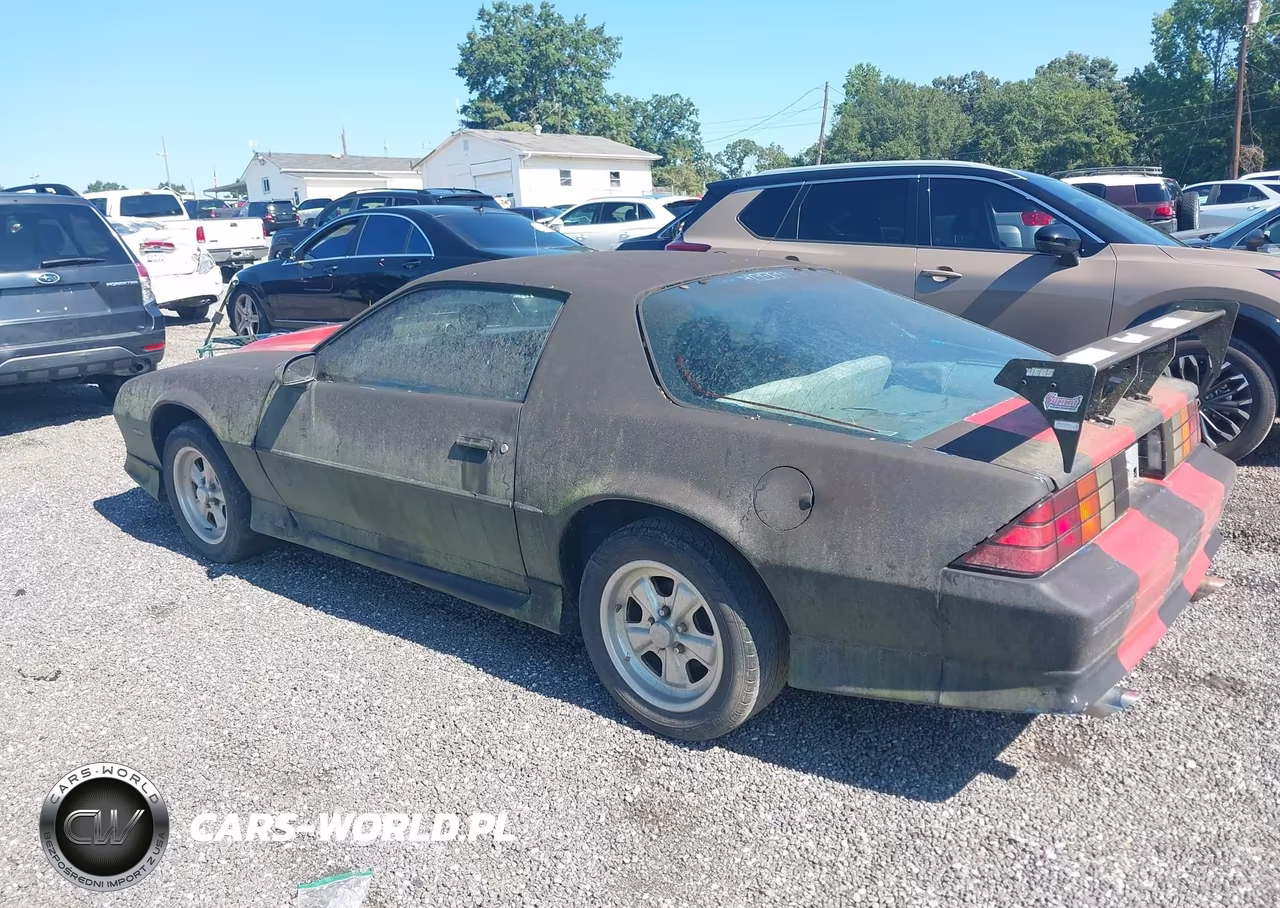 1991 Chevrolet Camaro Rs VIN:1G1FP23E7ML193219 - 3