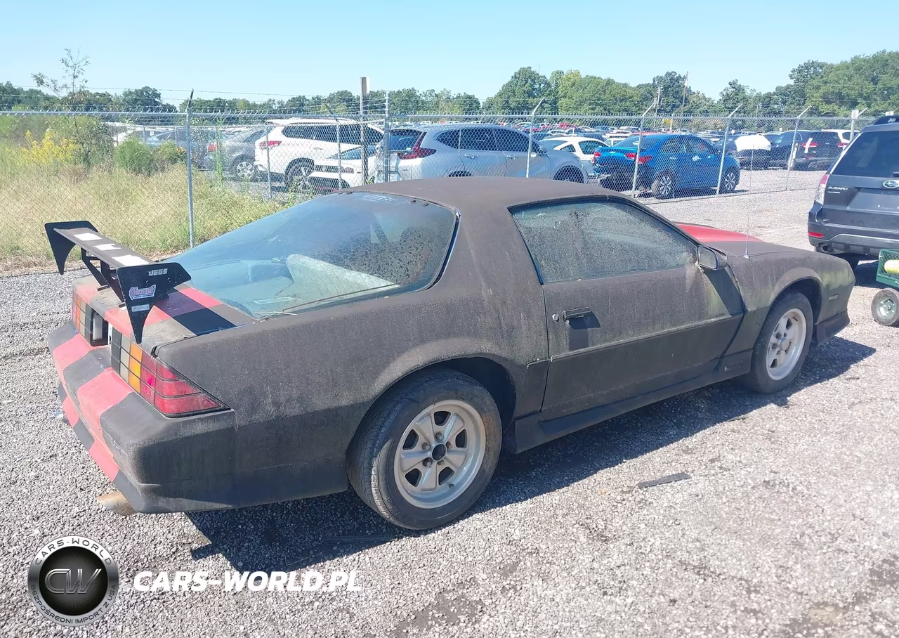 1991 Chevrolet Camaro Rs VIN:1G1FP23E7ML193219 - 4