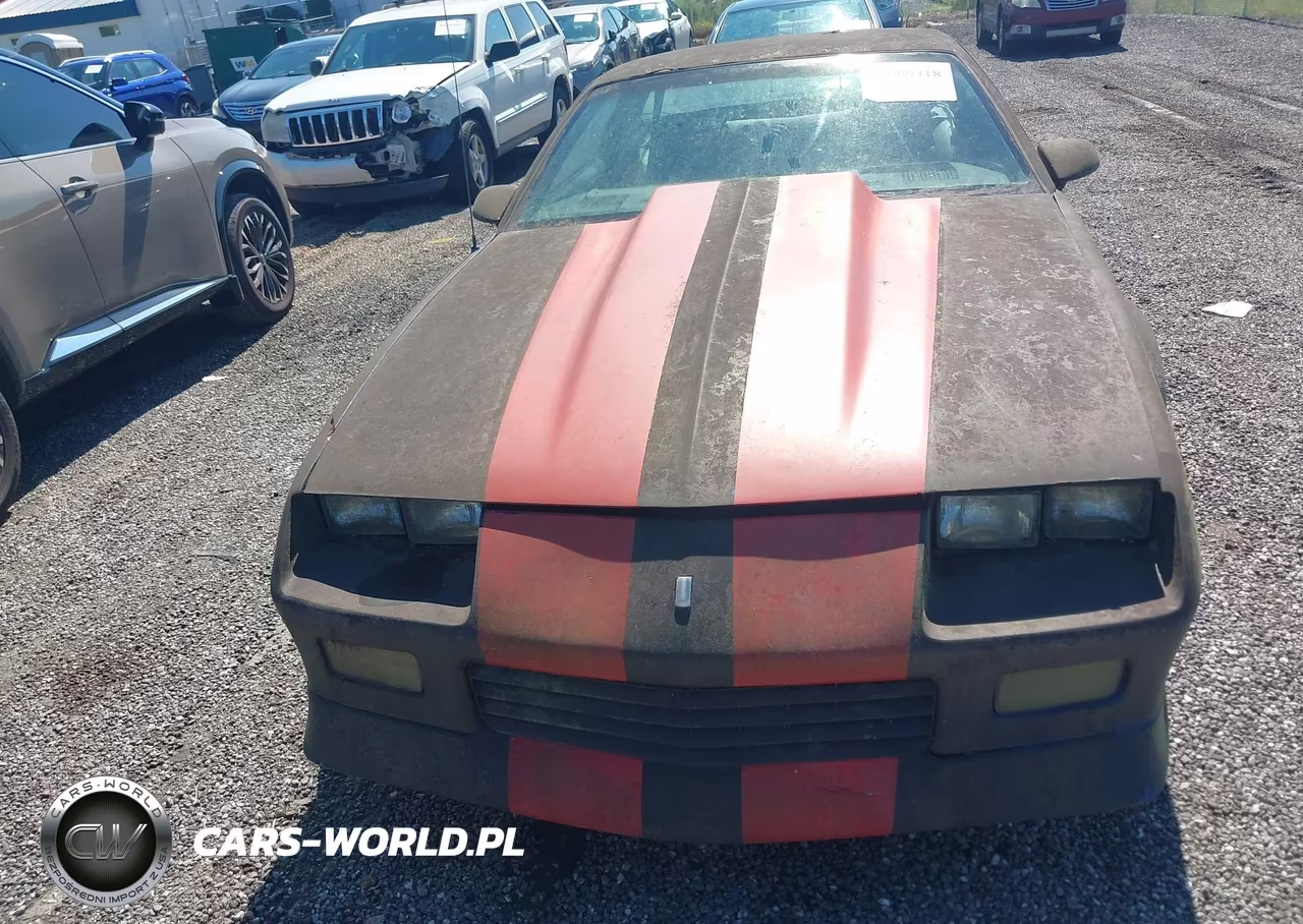 1991 Chevrolet Camaro Rs VIN:1G1FP23E7ML193219 - 6