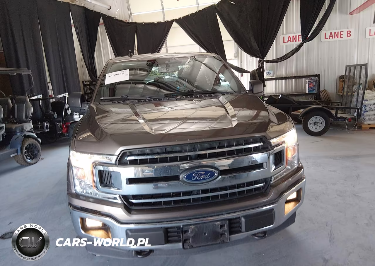 2019 Ford F-150 Xlt VIN:1FTEW1EB6KKD77363 - 12