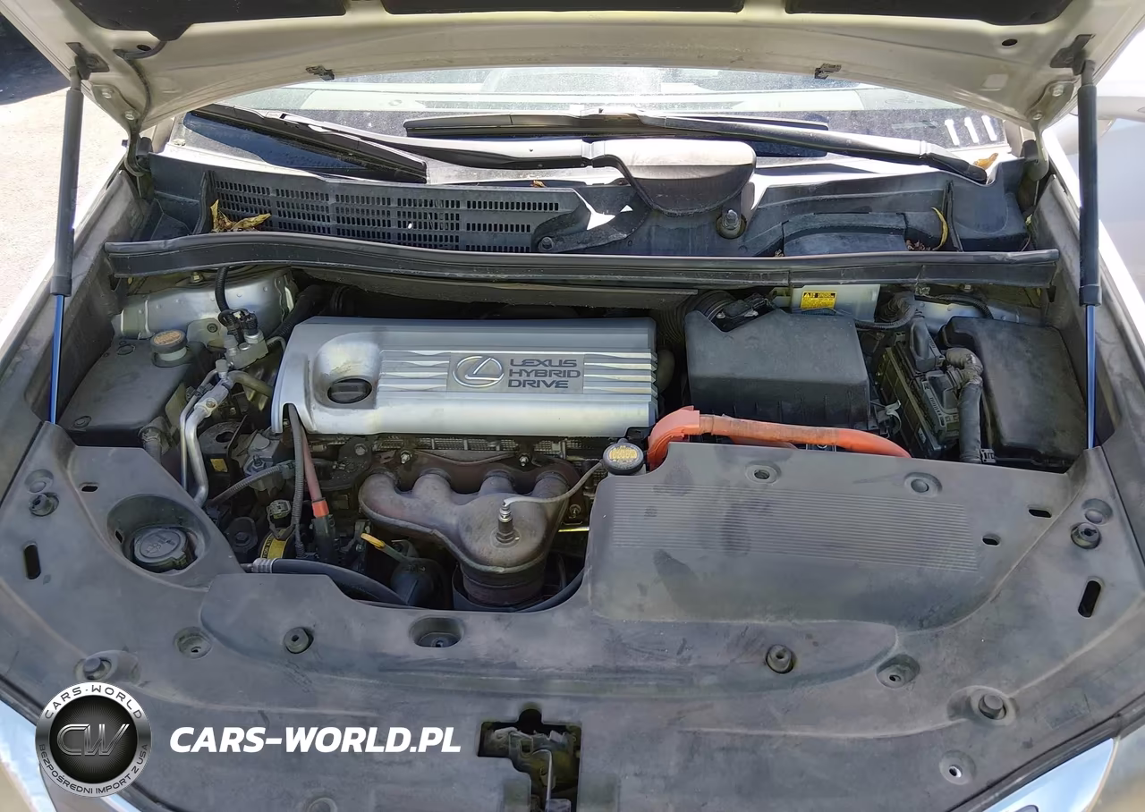 2010 Lexus Hs 250H VIN:JTHBB1BA8A2021312 - 10