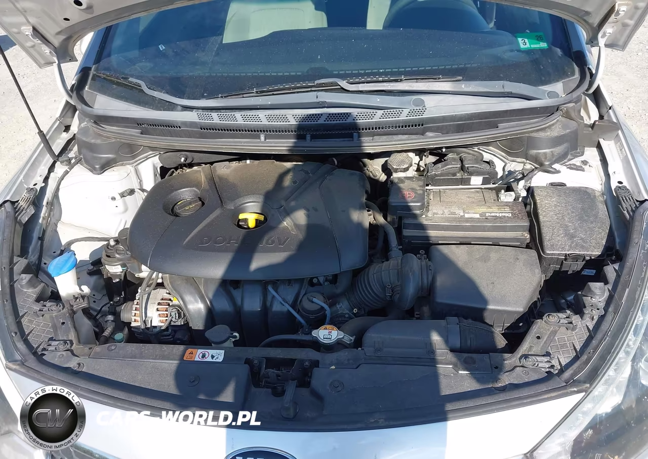 2015 Kia Forte Lx VIN:KNAFK4A66F5305509 - 10