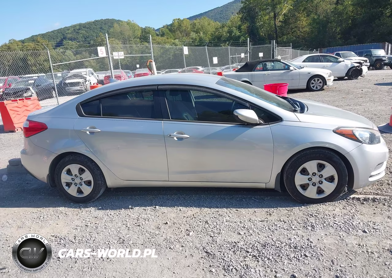 2015 Kia Forte Lx VIN:KNAFK4A66F5305509 - 13
