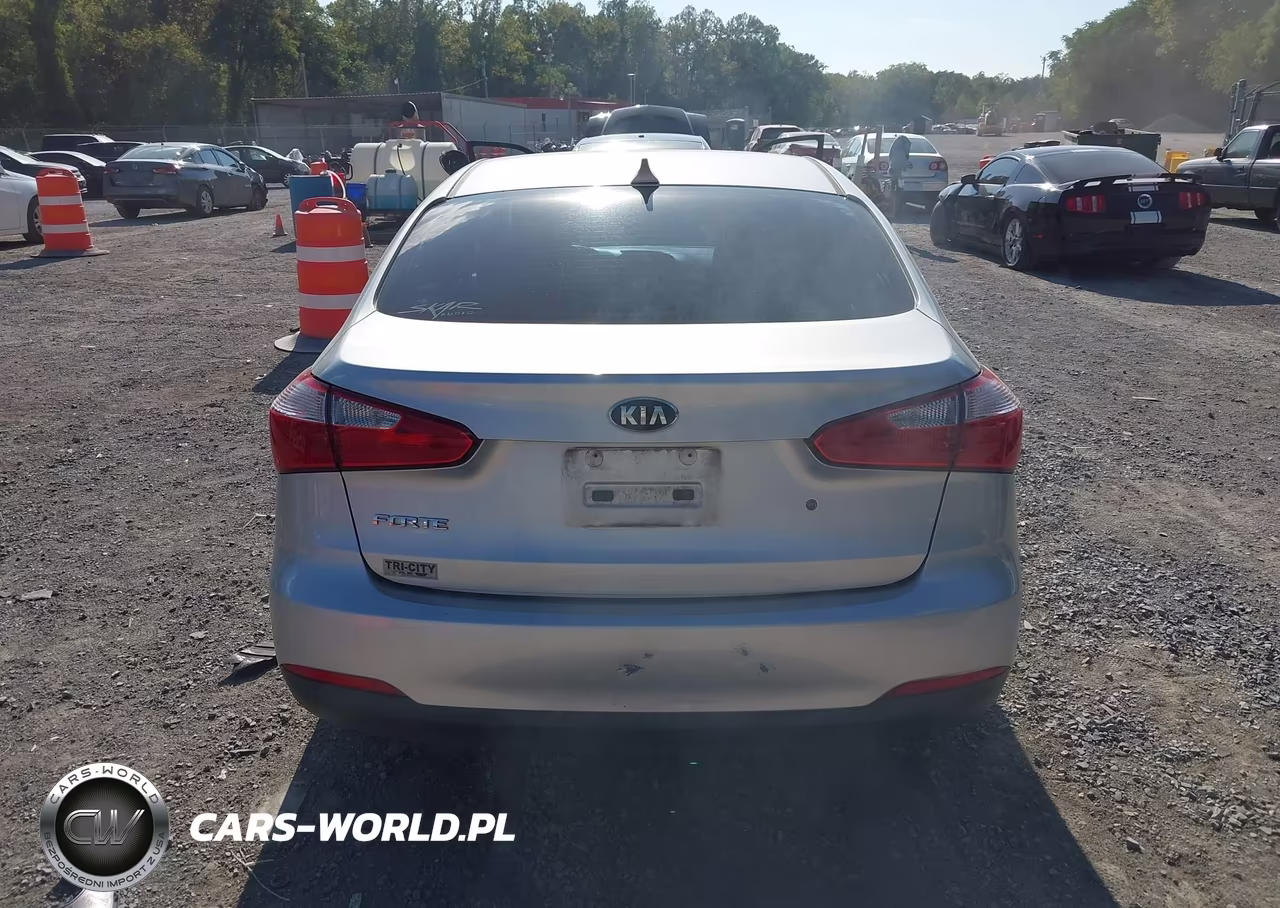 2015 Kia Forte Lx VIN:KNAFK4A66F5305509 - 16