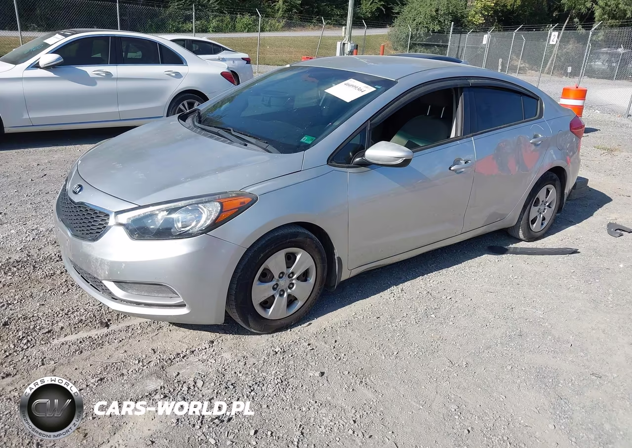 2015 Kia Forte Lx VIN:KNAFK4A66F5305509 - 2
