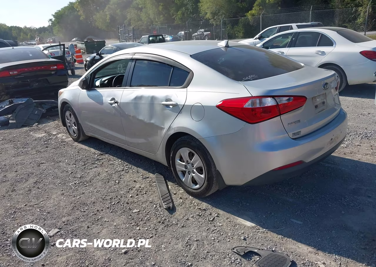 2015 Kia Forte Lx VIN:KNAFK4A66F5305509 - 3