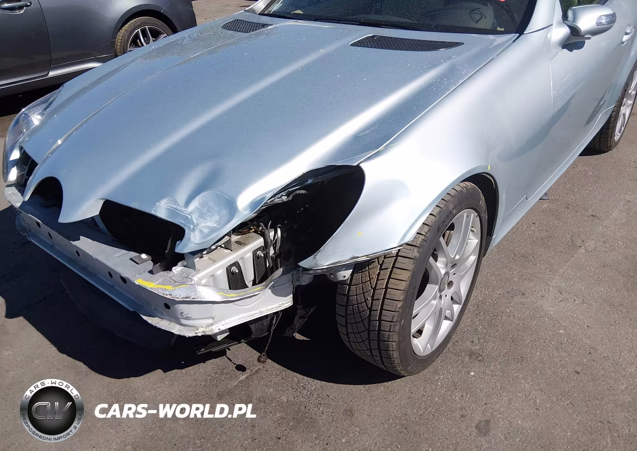 2008 Mercedes-Benz Slk 350 VIN:WDBWK56F78F180615 - 17