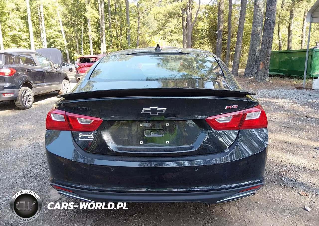 2024 Chevrolet Malibu Fwd Rs VIN:1G1ZG5ST4RF191030 - 16
