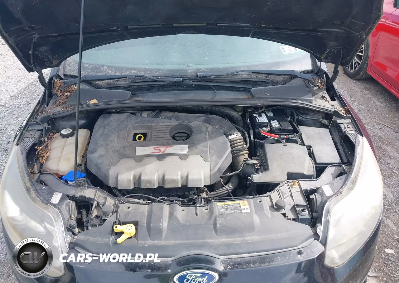 2013 Ford Focus St VIN:1FADP3L90DL317943 - 10
