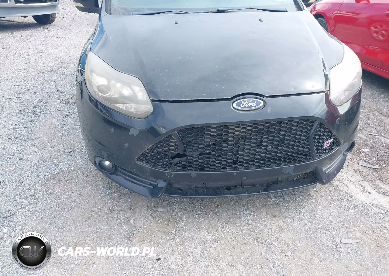 2013 Ford Focus St VIN:1FADP3L90DL317943 - 6