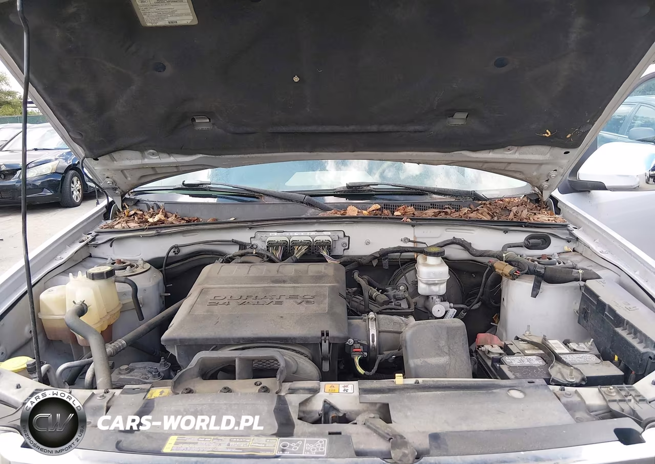 2011 Ford Escape Xlt VIN:1FMCU0DGXBKC42838 - 10