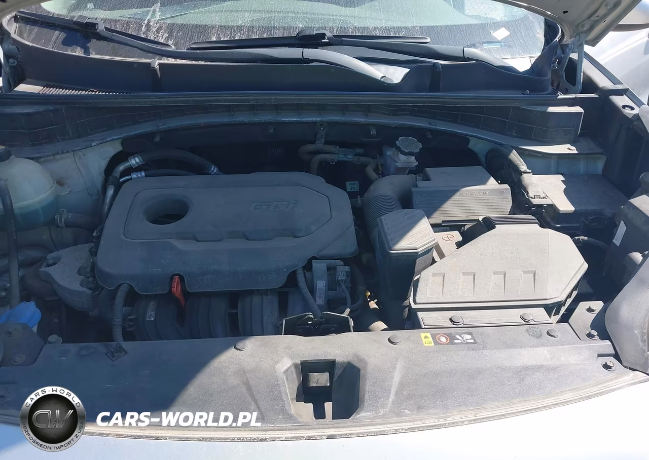 2017 Kia Sportage Lx VIN:KNDPMCAC7H7238878 - 10