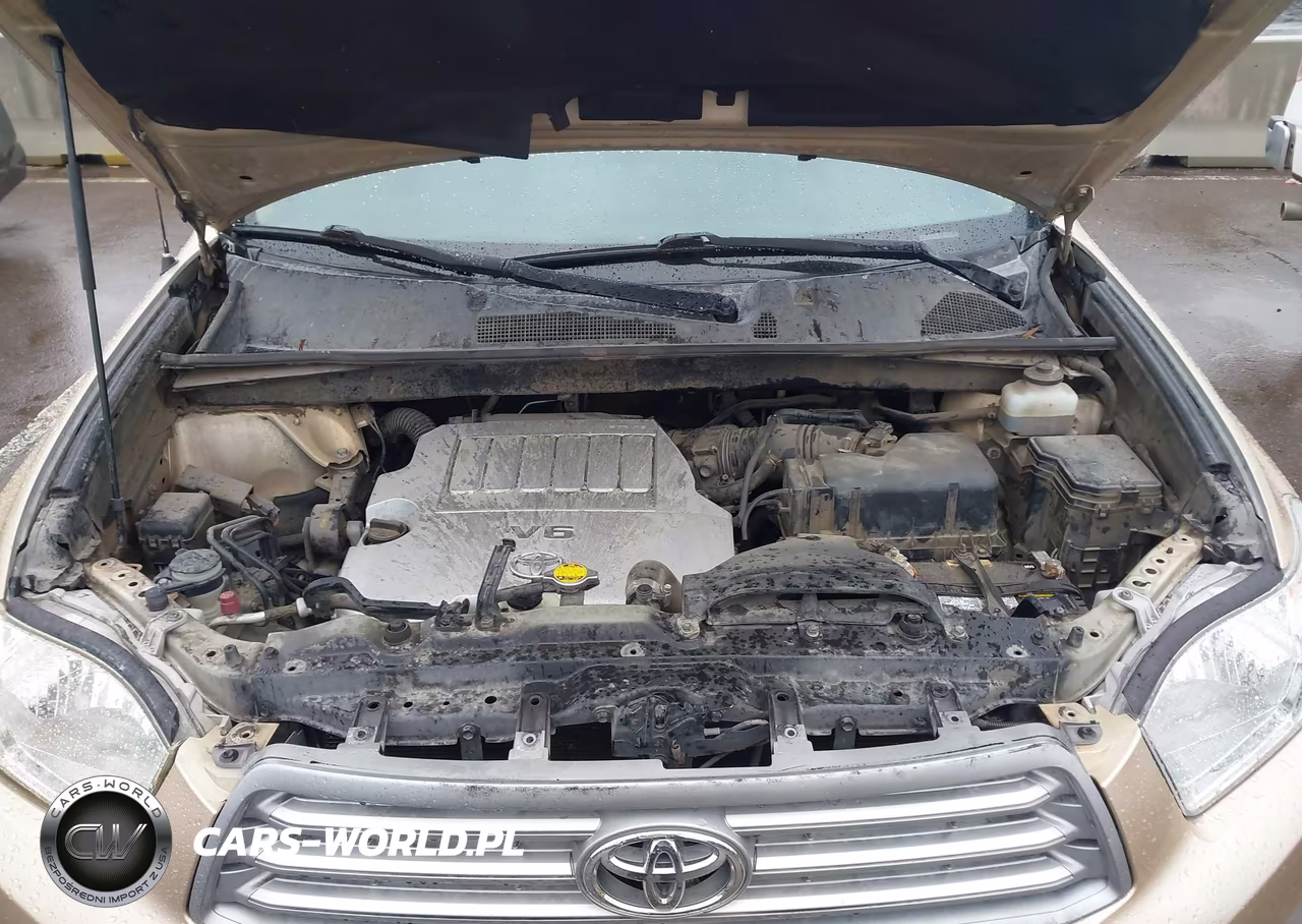 2009 Toyota Highlander VIN:JTEDS41A392071085 - 10