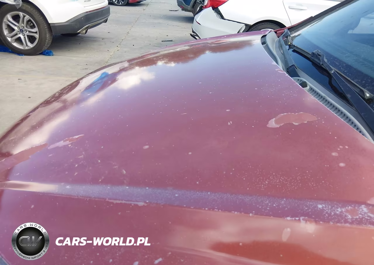 2007 Hyundai Accent Gs VIN:KMHCM36C77U024170 - 21
