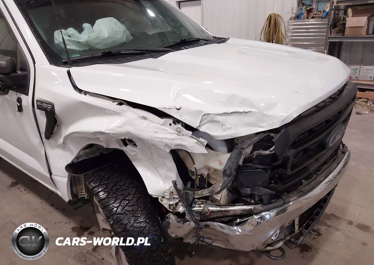 2021 Ford F-150 Xl VIN:1FTFW1E52MFC65508 - 6