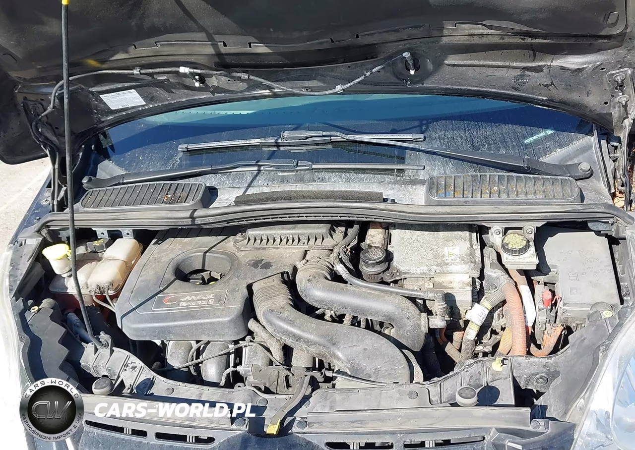 2014 Ford C-Max Energi Sel VIN:1FADP5CU6EL510597 - 10