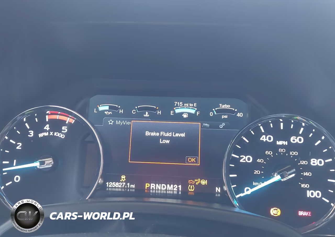 2019 Ford F-250 Platinum VIN:1FT7W2BT5KEE84091 - 7