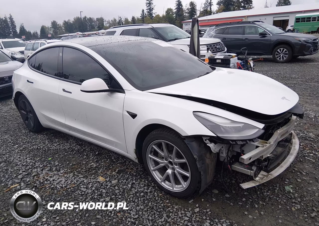 2022 Tesla Model 3 Rear-Wheel Drive